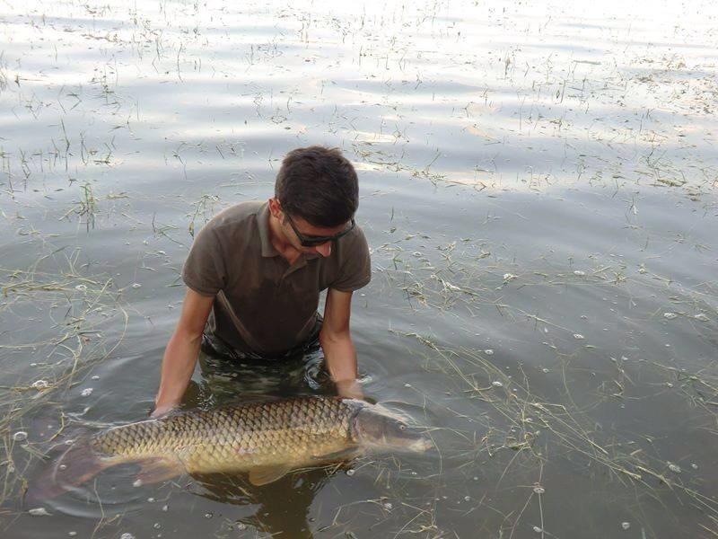 2013 - 3 - image1111111111111111.jpg